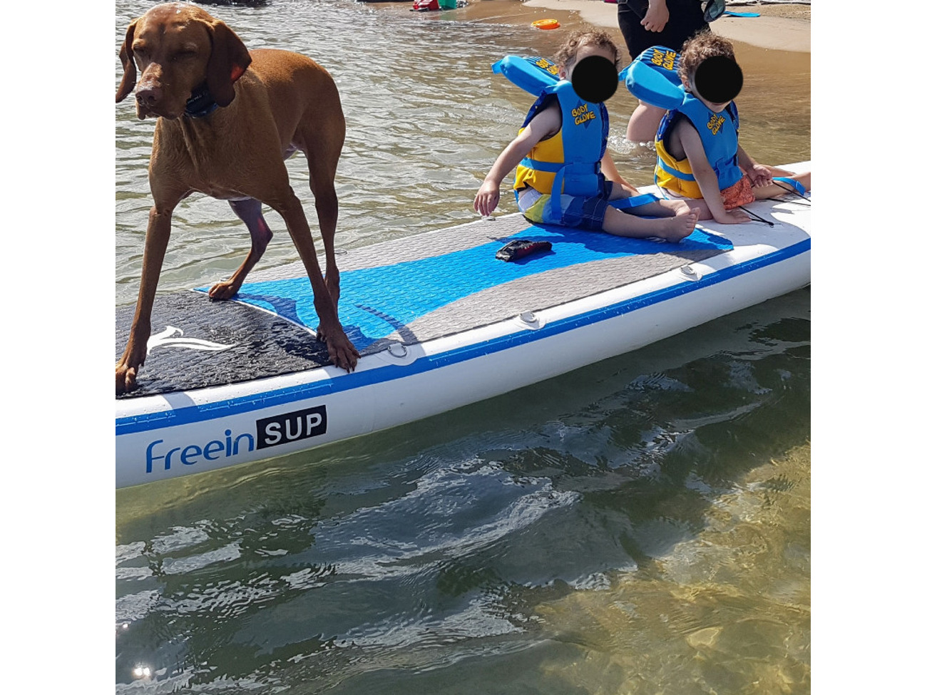 10' Stand Up Paddle Board