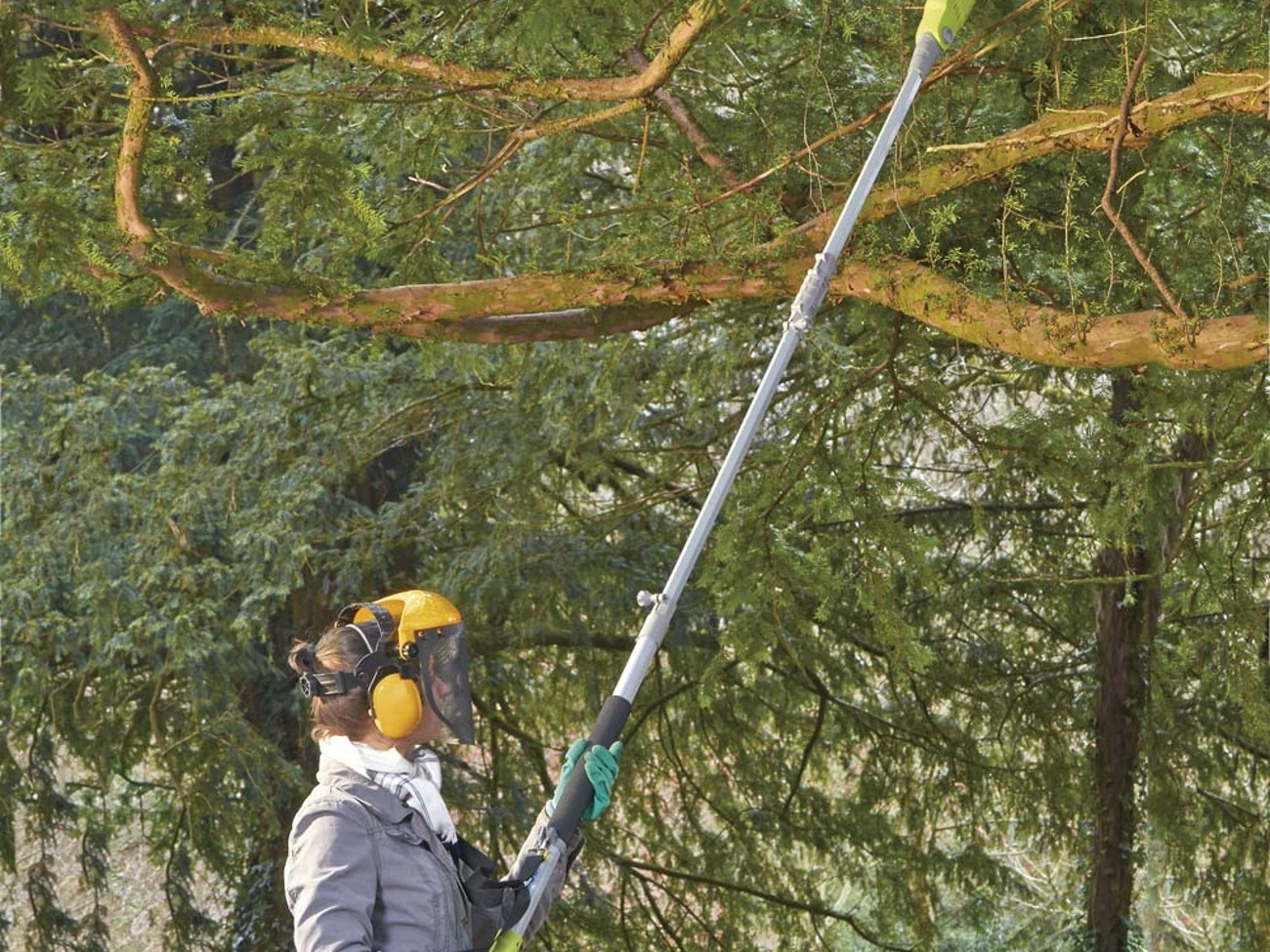 Rent 20cm Electric Extendable Pole Saw 