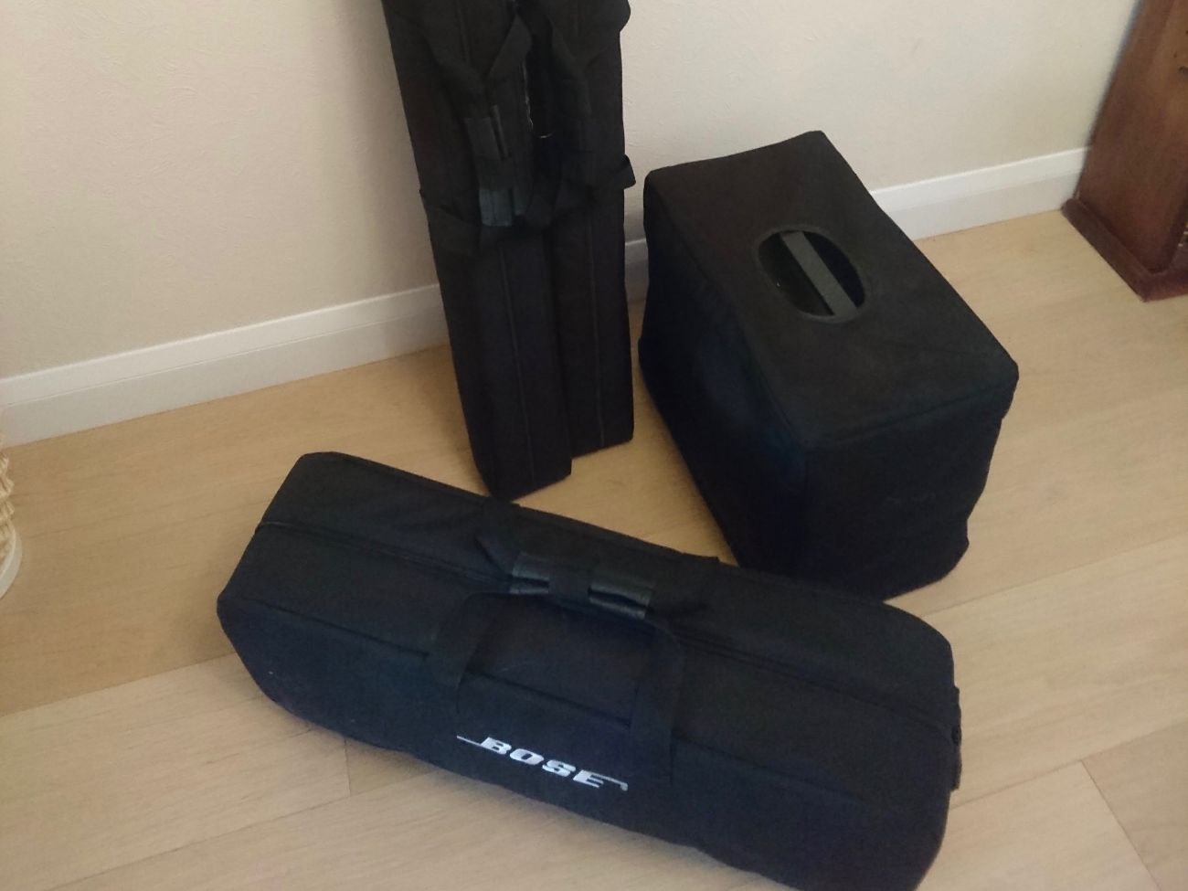Rent Bose L1 Model 2 PA System with B1 