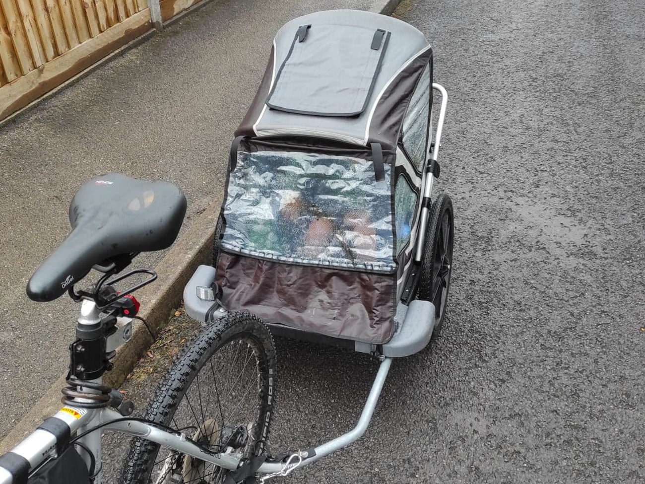 bob bike trailer child