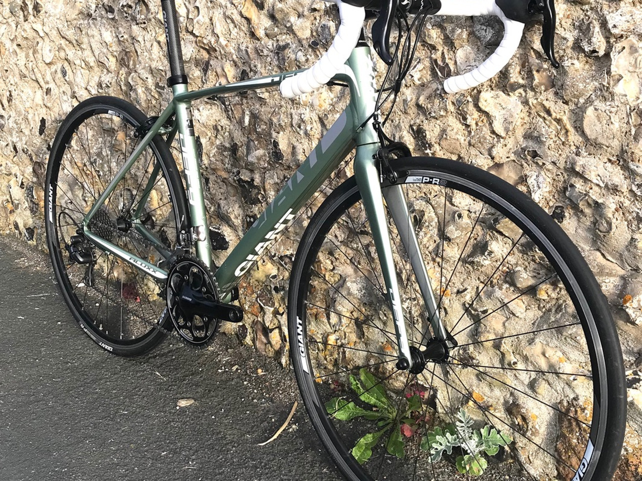 Rent Giant Defy 1 Road Bike - Medium 