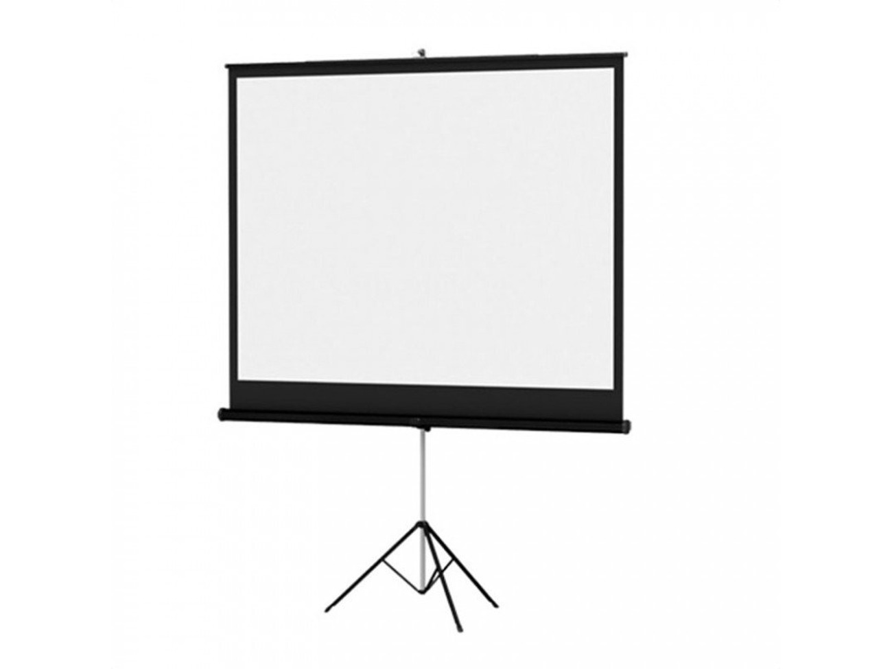 Projector Screen - 8’ x 8’