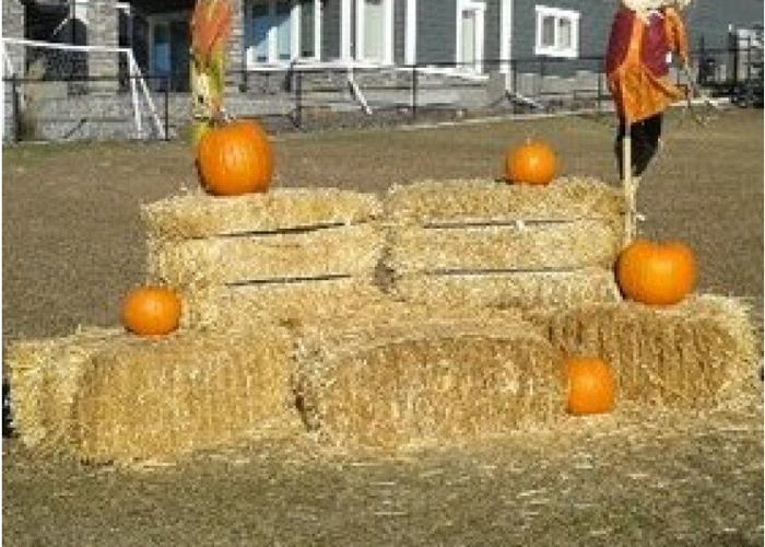 Fat Llama Rent (almost) anything