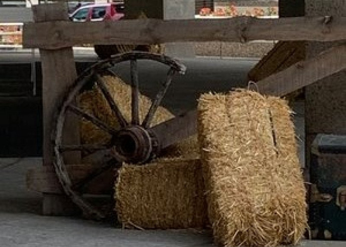 Fat Llama Rent (almost) anything