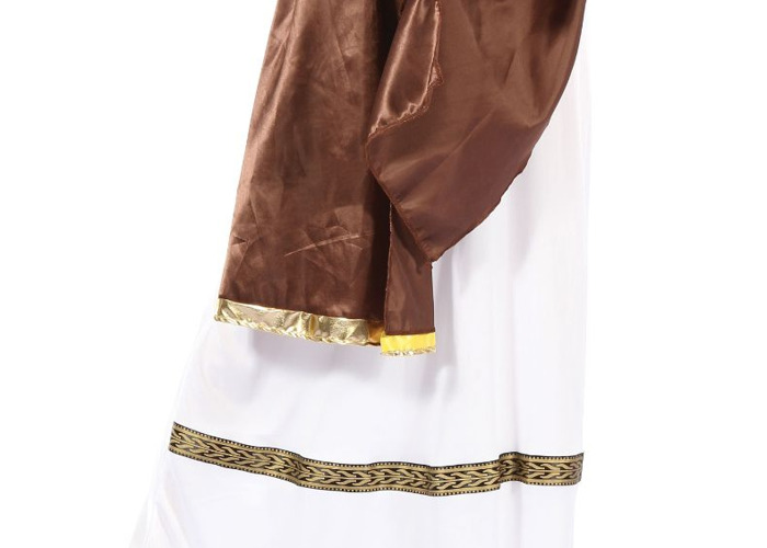 Rent Greek Goddess Fancy Dress Costume 
