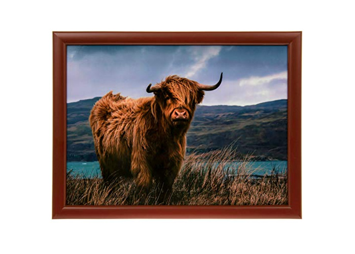 Highland Cow Design Lap Tray Padded Bean Bag Cushion