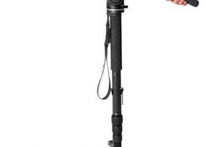 Monopod Hire Near Me Fat Llama