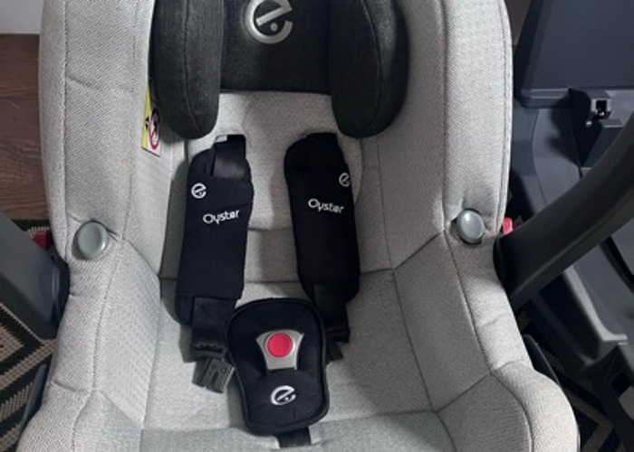 Bristol Car Seat Hire Fat Llama