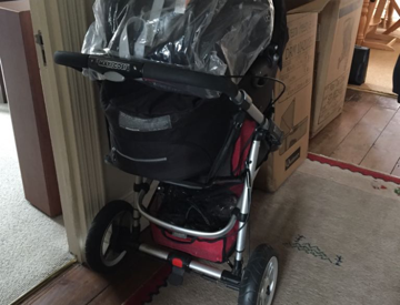 hamilton turnberry double buggy
